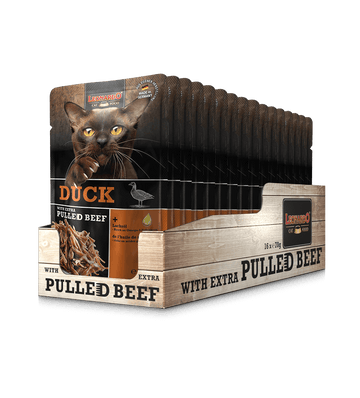 LEONARDO Duck + extra pulled Beef