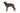Ruffwear Furness™ Hundejacke#farbe_twilight-gray