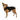 Ruffwear Quinzee Hundejacke#farbe_obsidian-black