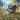 Ruffwear Morel#farbe_blue-prism