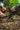 Ruffwear Quencher Bowl#farbe_moonlight-mountains