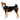 Ruffwear Front Range Hundegeschirr#farbe_basalt-gray