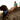 Ruffwear Front Range Hundegeschirr#farbe_coastal-mountains
