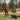 Ruffwear Gnawt-a-Stick™ Hundespielzeug#farbe_salamander-orange