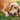 Ruffwear Gnawt-a-Rock™ Hundespielzeug#farbe_salamander-orange