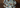 mein-Tiershop Banner
