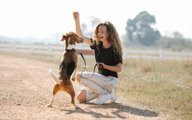 5 tolle Tricks für Hunde