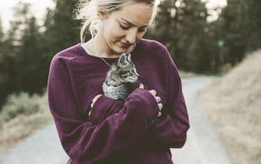 Erstausstattung für Katzen