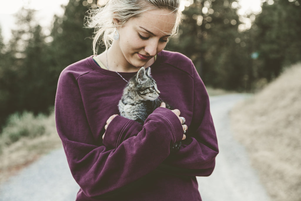 Erstausstattung für Katzen