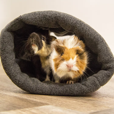 Bunny Fleecy Tunnel