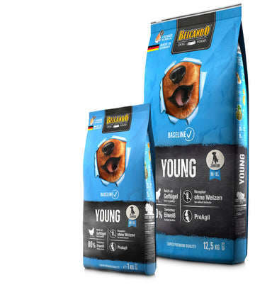 BELCANDO Baseline Young