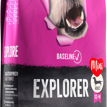 BELCANDO Baseline Explorer