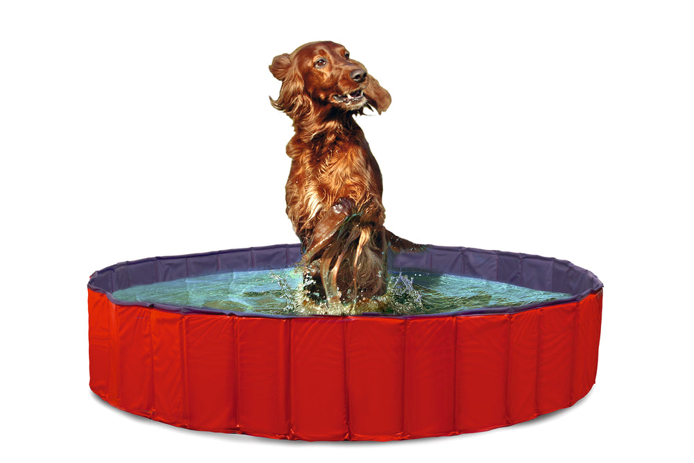 Karlie Doggy Pool rot