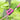 Beeztees Kotbeutelspender für Hunde#farbe_pink