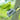 Beeztees Kotbeutelspender für Hunde#farbe_grau