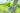 Beeztees Kotbeutelspender für Hunde#farbe_grau