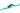 Max & Molly Neopren Hundehalsband#farbe_türkis