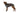 Ruffwear Furness™ Hundejacke#farbe_twilight-gray