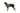 Ruffwear Sun Shower Coverall#farbe_midnight-blue