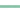 Ruffwear Hi & Light Hundehalsband#farbe_sage-green