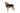 Ruffwear Quinzee Hundejacke#farbe_obsidian-black