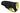 Ruffwear Quinzee Hundejacke#farbe_obsidian-black
