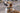 Ruffwear Crag Hundehalsband#farbe_rising-wave
