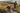 Ruffwear Web Master Hundegeschirr#farbe_red-canyon