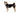 Ruffwear Front Range Hundegeschirr#farbe_basalt-gray