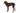 Ruffwear Front Range Hundegeschirr#farbe_moonlight-mountains