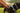 Ruffwear Front Range Hundegeschirr#farbe_spring-mountains