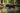 Ruffwear Flagline Hundegeschirr#farbe_alpenglow-pink