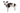 Ruffwear Flagline Hundegeschirr#farbe_basalt-gray