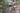 Ruffwear Trail Runner™ Laufgürtel#farbe_lichen-green