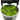 Stoffels Pogostemon helferi in-vitro