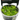 Stoffels Pogostemon helferi in-vitro
