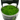 Stoffels Eleocharis acicularis in-vitro