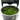 Stoffels Monosolenium tenerum in-vitro