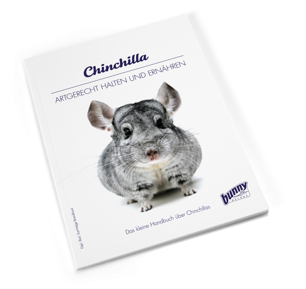 Bunny BOOKS Chinchilla