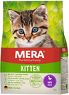 Mera Cats Kitten Ente