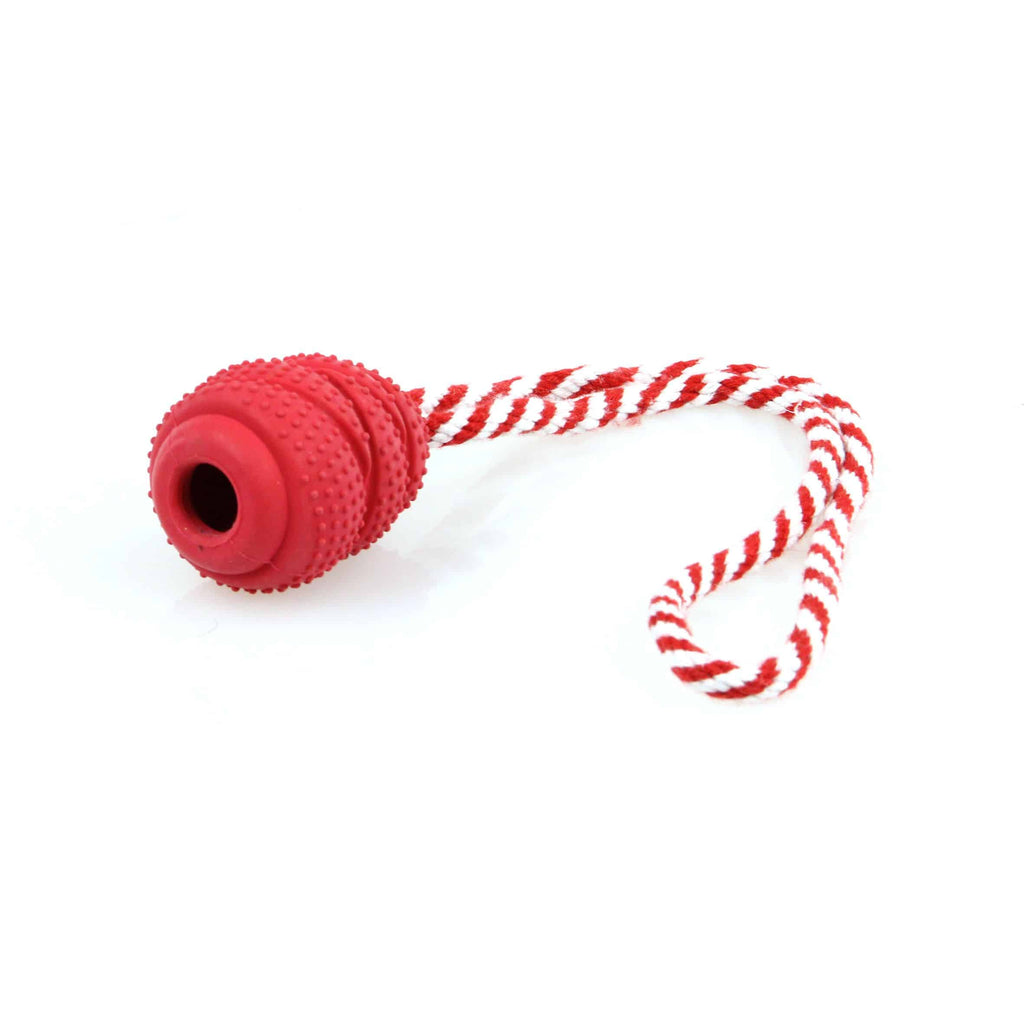 swisspet Mighty Champer rot mit Seil