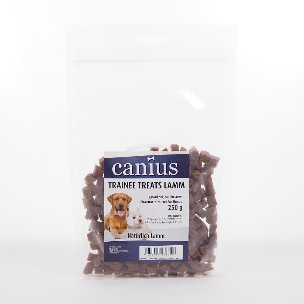 Canius Trainee Treats Lamm
