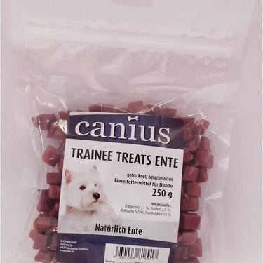 Canius Trainee Treats Ente