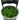 Stoffels Lilaeopsis brasiliensis in-vitro